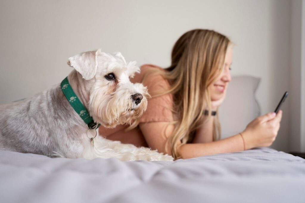 Pet Welcome 1200x800 1